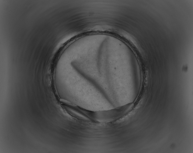 X0000095541018200801041304