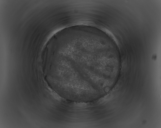 X0000095541019200801041304