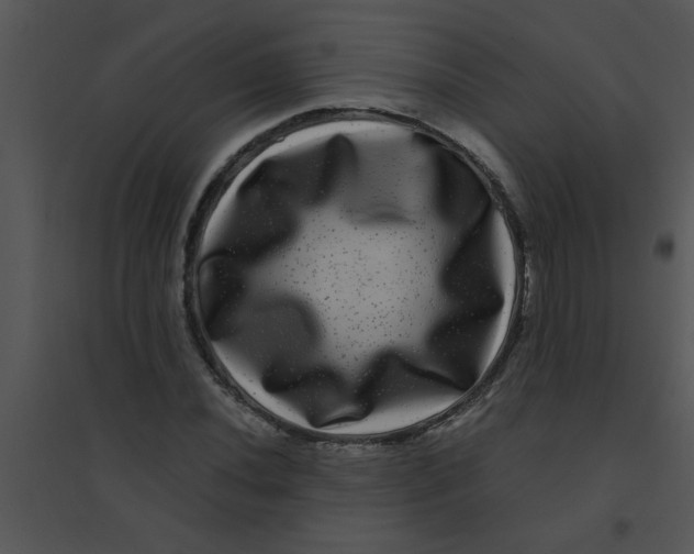 X0000095541020200801041304