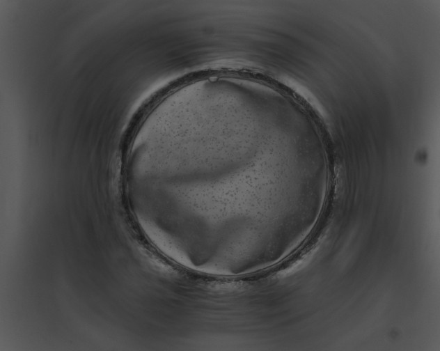 X0000095541021200801041304