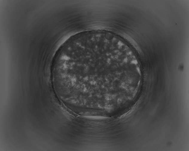 X0000095541023200801041304