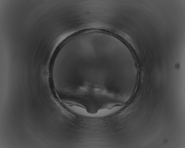 X0000095541024200801041304