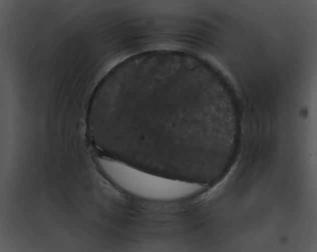 X0000095541025200801041304