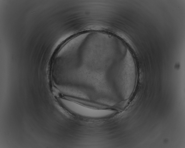 X0000095541026200801041304