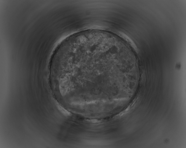 X0000095541027200801041304