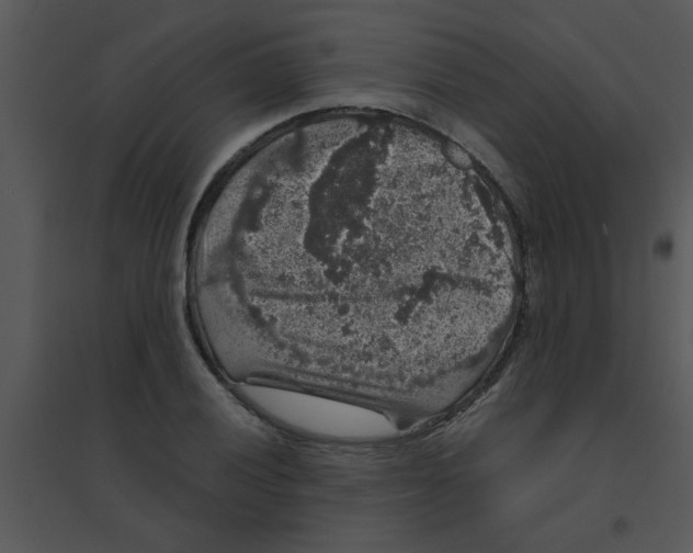 X0000095541028200801041304