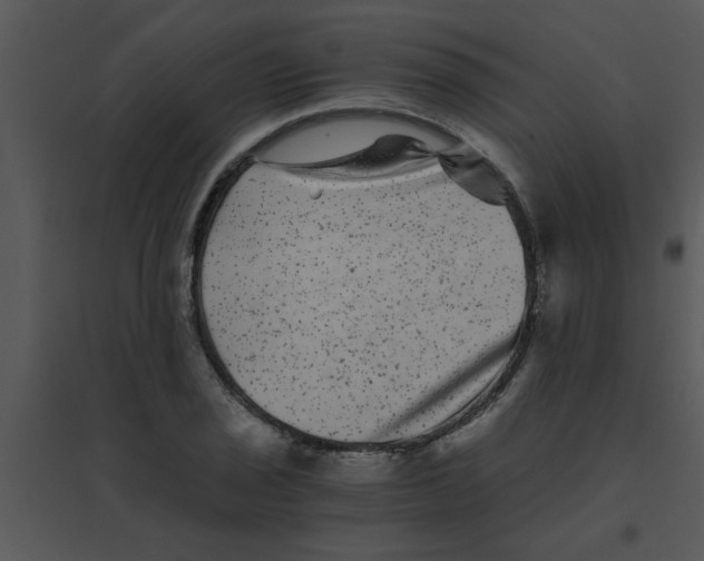 X0000095541029200801041304