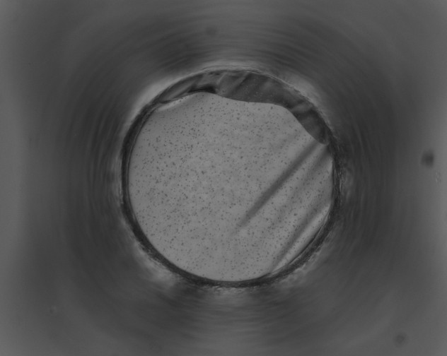 X0000095541030200801041305