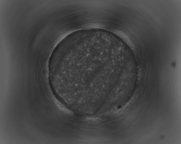 X0000095541031200801041305