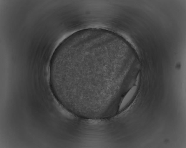 X0000095541032200801041305