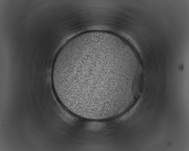 X0000095541033200801041305