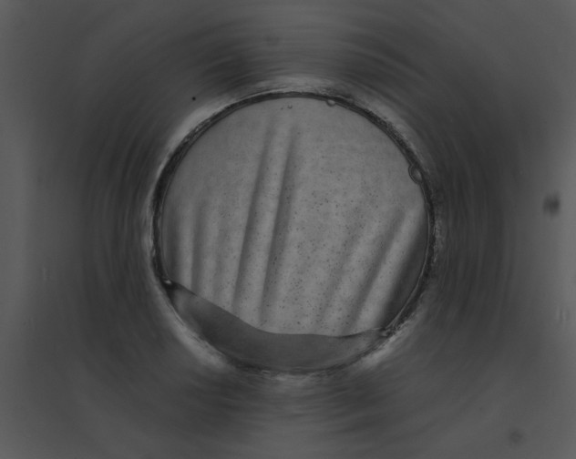 X0000095541034200801041305