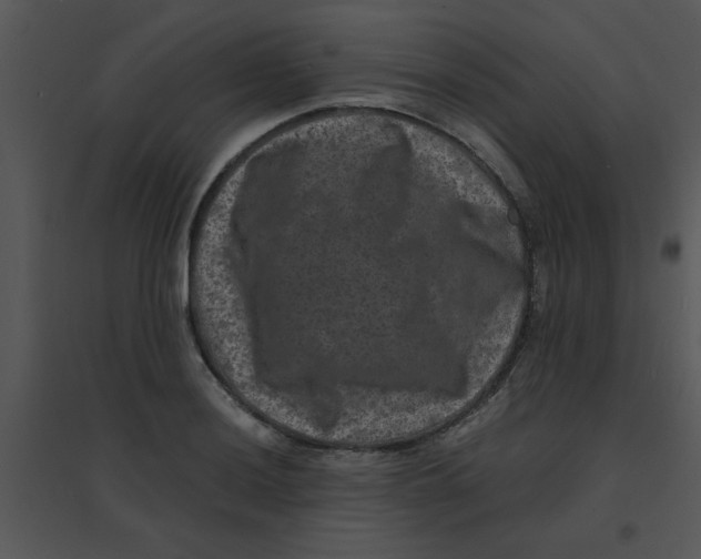 X0000095541036200801041305