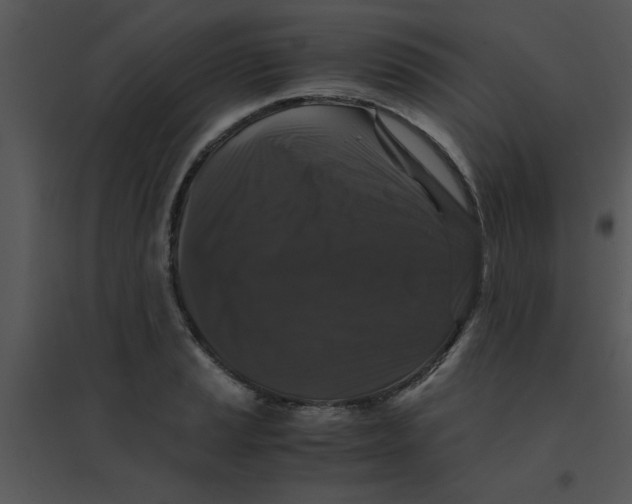 X0000095541037200801041305