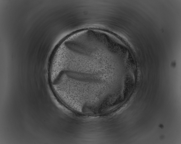 X0000095541038200801041305