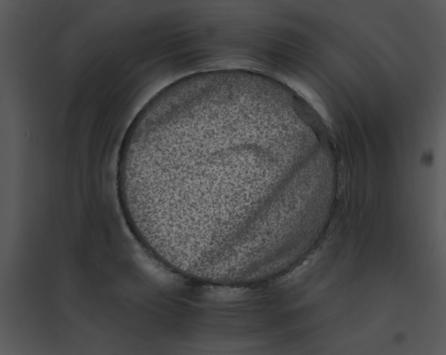 X0000095541039200801041305