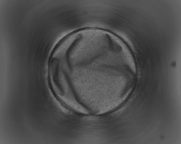 X0000095541040200801041305