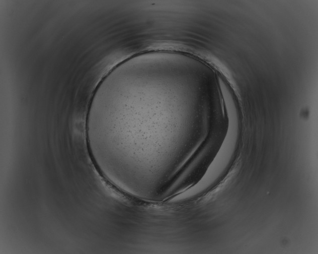 X0000095541041200801041305