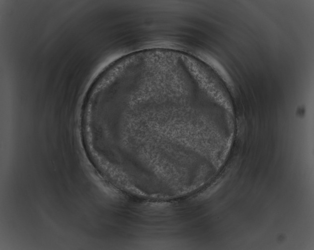 X0000095541043200801041305