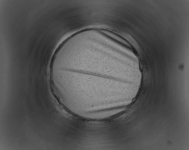 X0000095541044200801041305