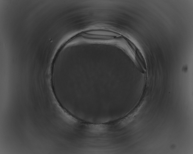 X0000095541045200801041305