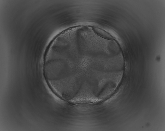 X0000095541046200801041305