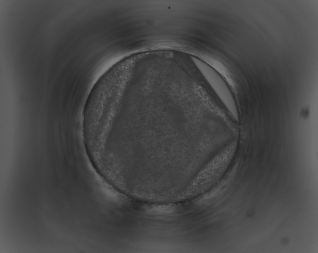 X0000095541047200801041305