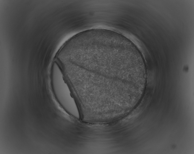 X0000095541048200801041305