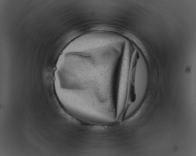 X0000095541049200801041305