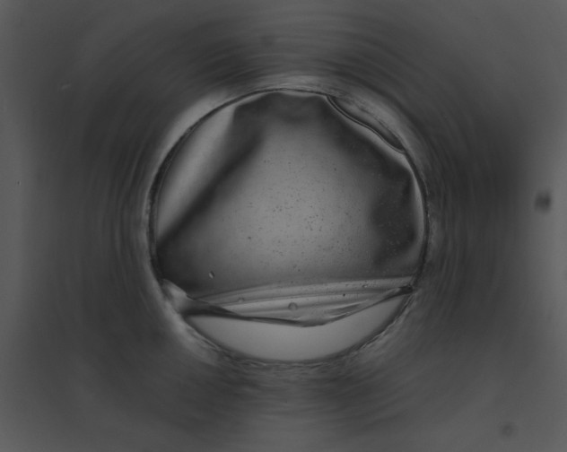 X0000095541050200801041305