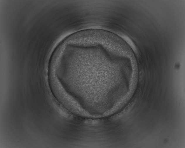 X0000095541051200801041305