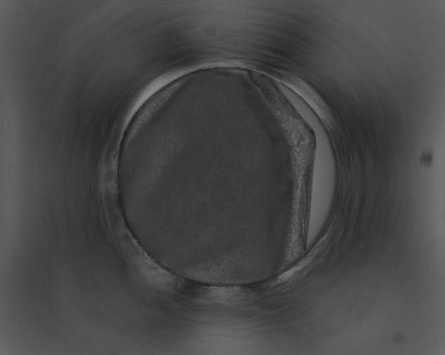 X0000095541052200801041305