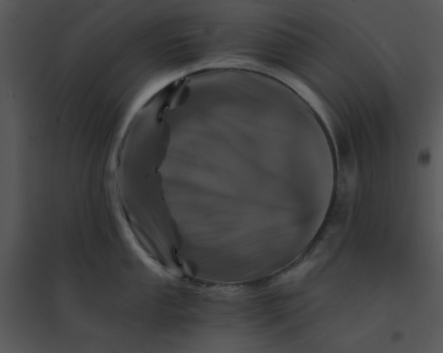 X0000095541053200801041305