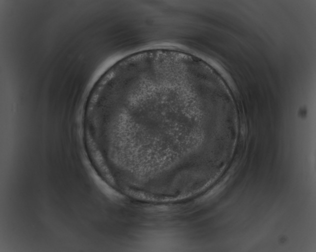 X0000095541054200801041305