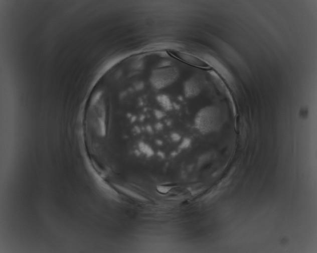 X0000095541055200801041305