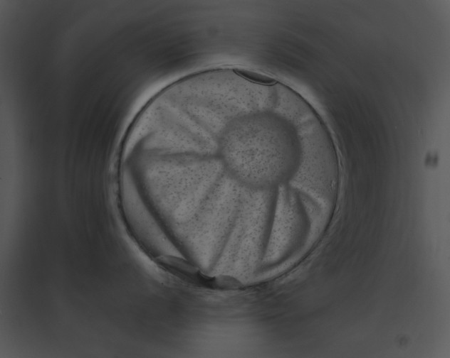 X0000095541056200801041305