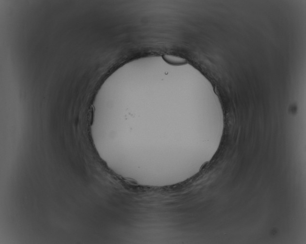 X0000095541057200801041304