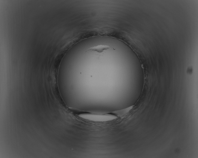 X0000095541058200801041304