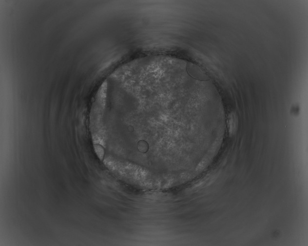 X0000095541059200801041304