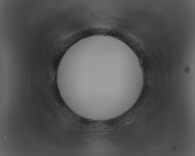 X0000095541061200801041304