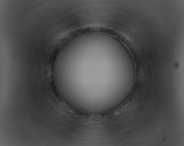 X0000095541062200801041304