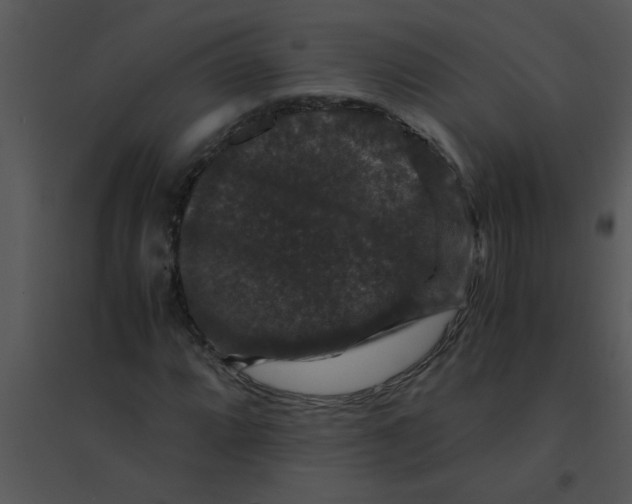 X0000095541064200801041304