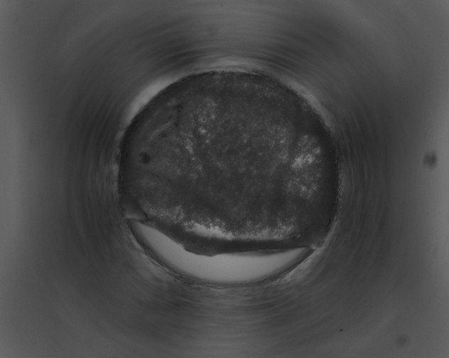 X0000095541066200801041304