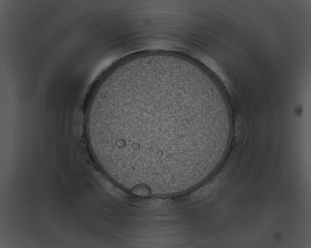 X0000095541067200801041304