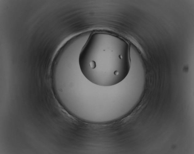 X0000095541068200801041304