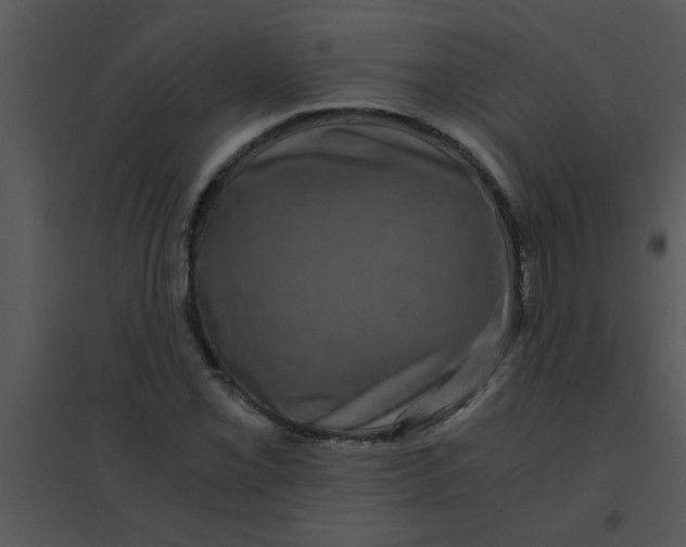 X0000095541069200801041304