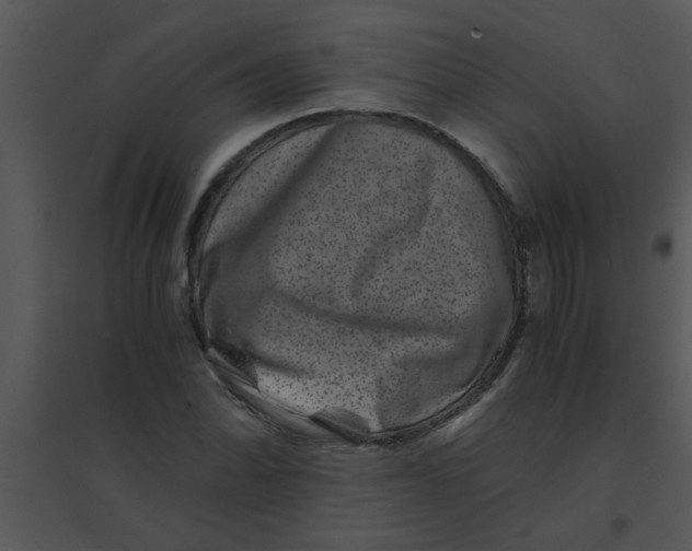 X0000095541070200801041304