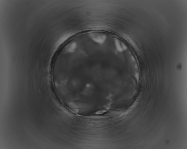 X0000095541071200801041304