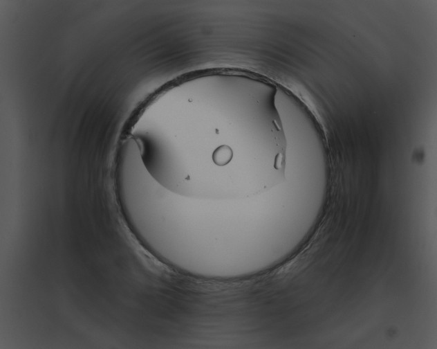 X0000095541072200801041304