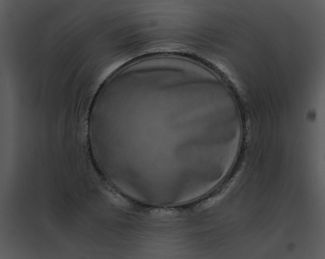 X0000095541073200801041304